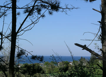 Aussicht vom Wald