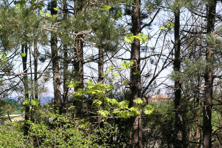 A 200 m dalla campagna.